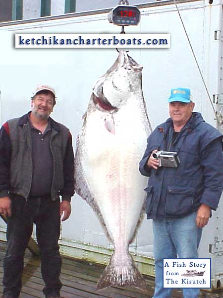 178 pound Halibut