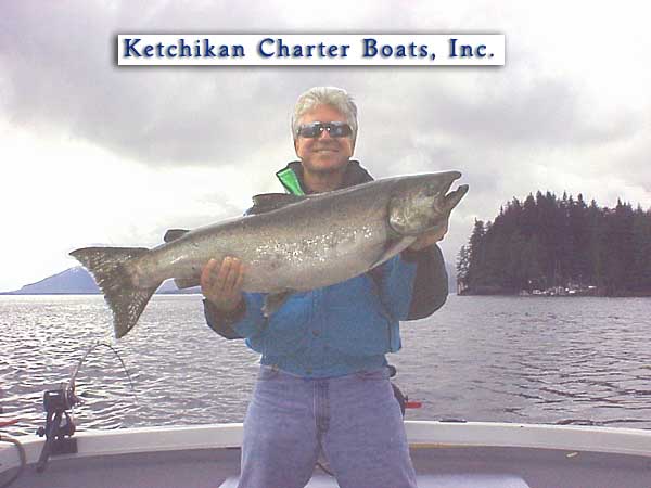 King Salmon photo