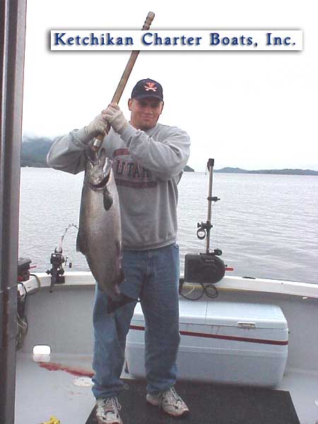 King salmon photo