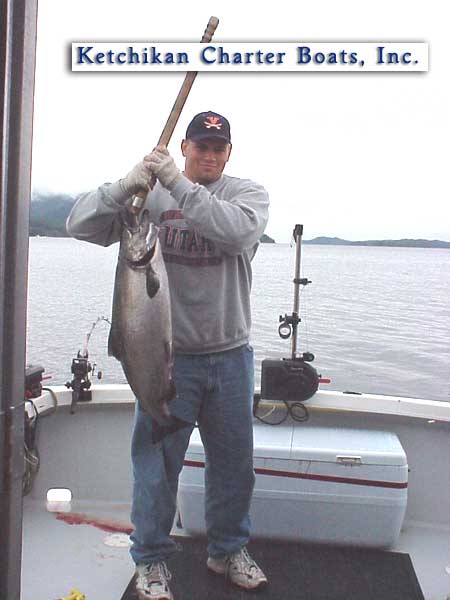 Silver Salmon photo