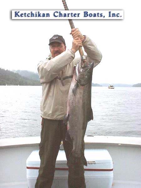 King salmon photo