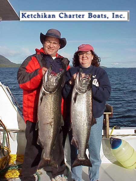 King salmon photo