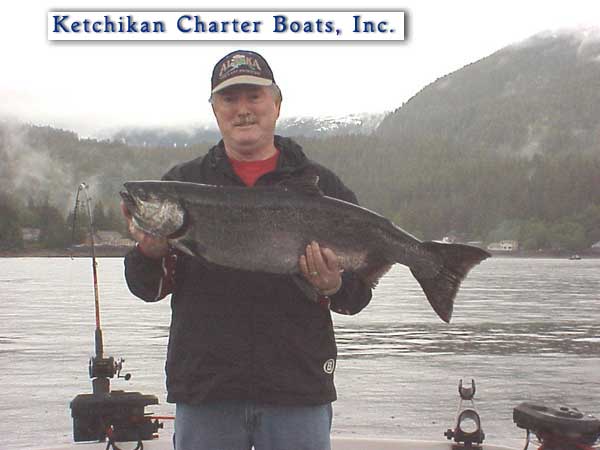 King salmon photo