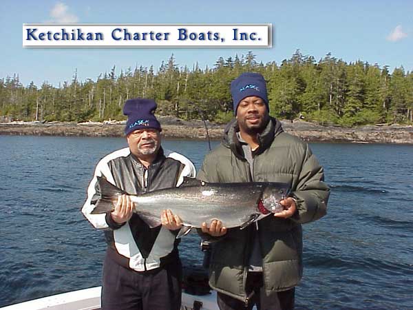 A nice king Salmon