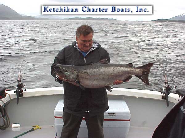 Alaskan King Salmon