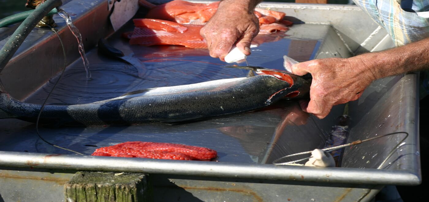 Processing your catch